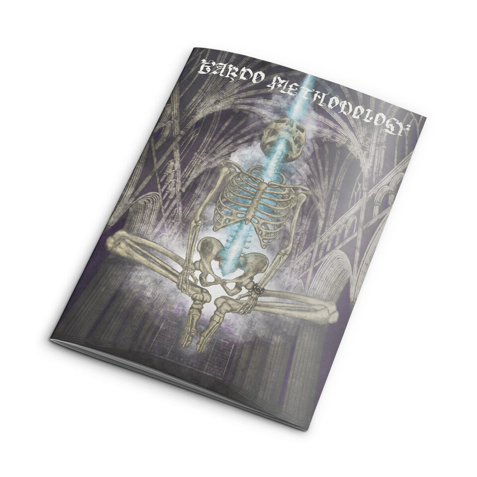 BARDO METHODOLOGY – Issue 8